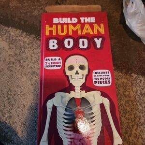 Build the Human Body Model Kit